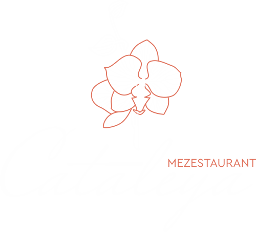 Εστιατόρια Λάρισα | Cataleya Mezestaurant | Φαγητό στο Κέντρο